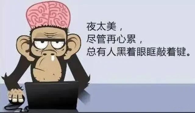 程序員假期怎么過，快來看看你屬于哪一種？